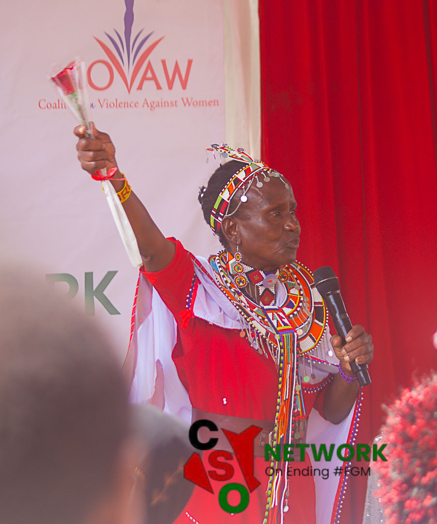 CSO Network